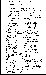 Click for full-sized Document